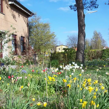 Kronsteert